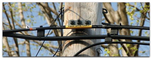 fiber