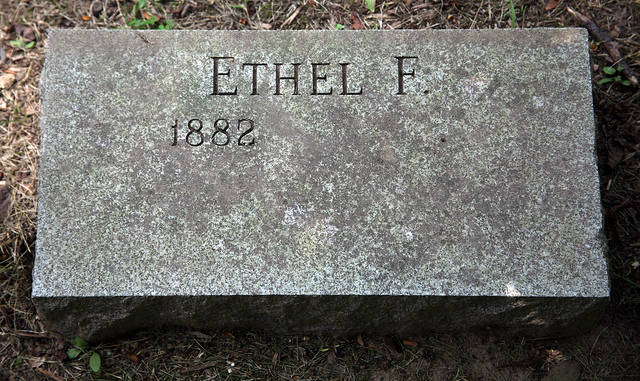 10848257303_d5752b6d04_z