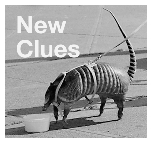 New Clues