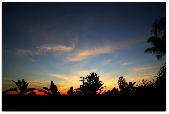 Screen Shot 2015-02-03 at 7.40.01 AM