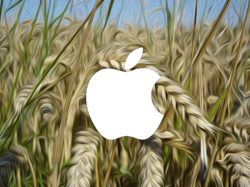 wheat+apple