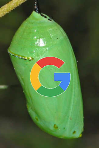 crysalis