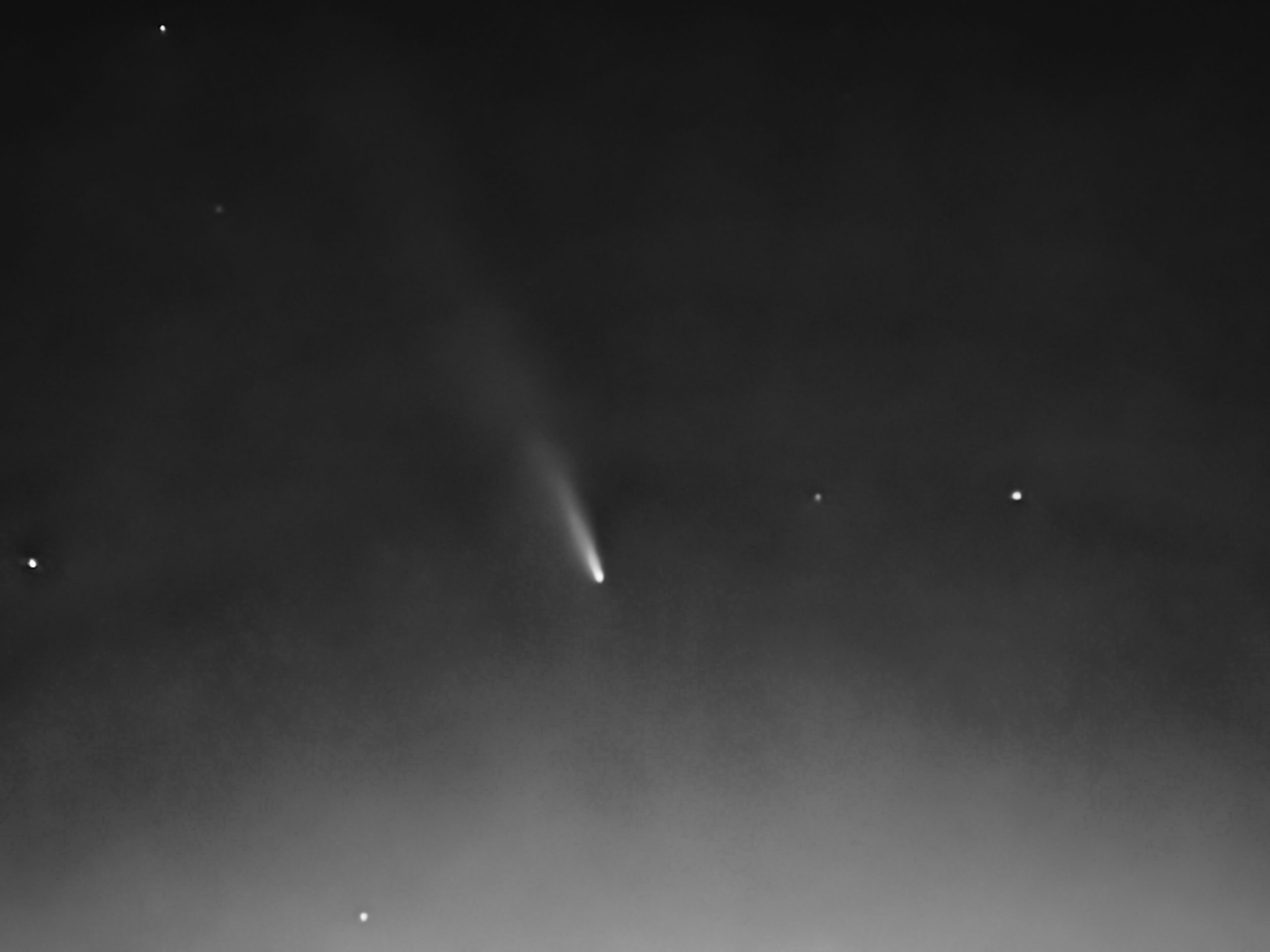 A Comet Hunt