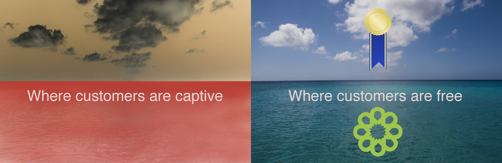 What Companies Deserve a Free Customer award?